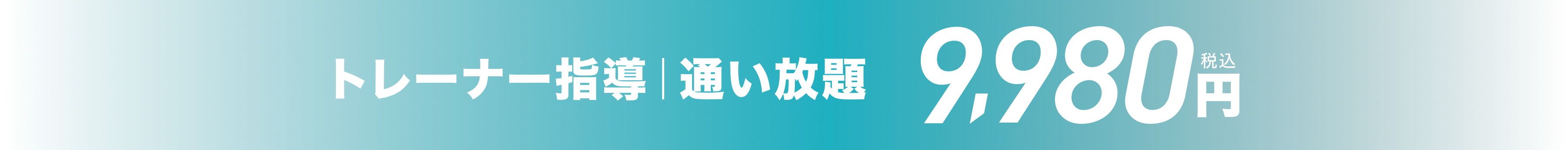 トレーナー指導|通い放題 9,980円(税込)