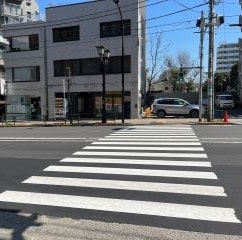 左手にある横断歩道を渡ってください。