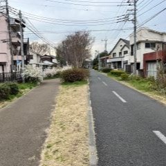 横断歩道を渡り30mほど直進して緑道に入ってください。